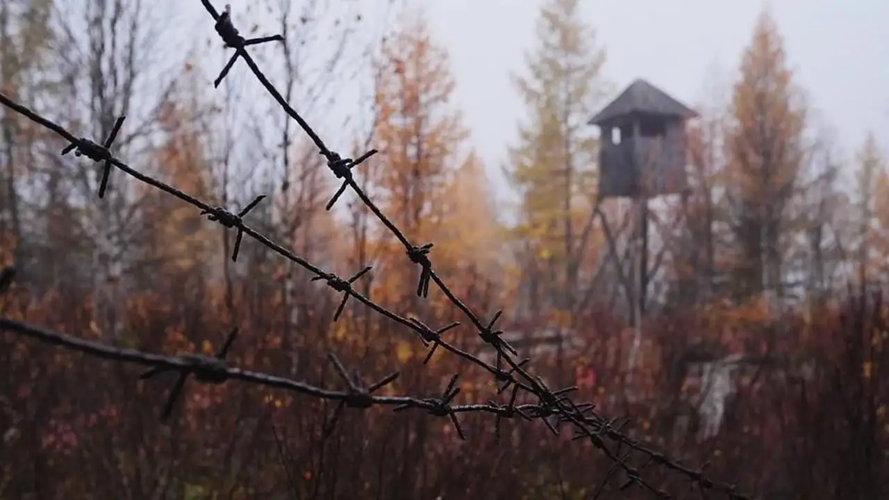 Barbed wire and watchtower in autumn woods